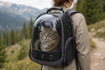 Best Cat Backpack Carriers (2026): Hands-Free, Comfortable & Built for Real Adventures