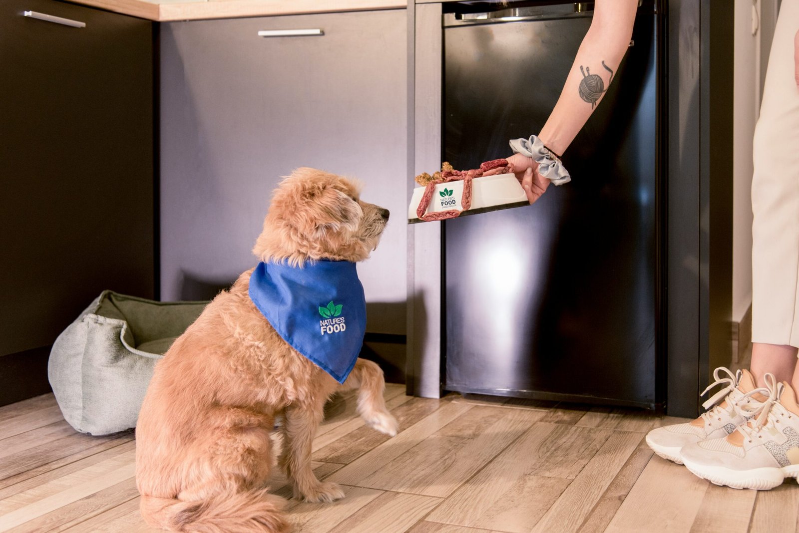 freeze-dried raw dog food