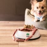 What Is Freeze-Dried Raw Dog Food?