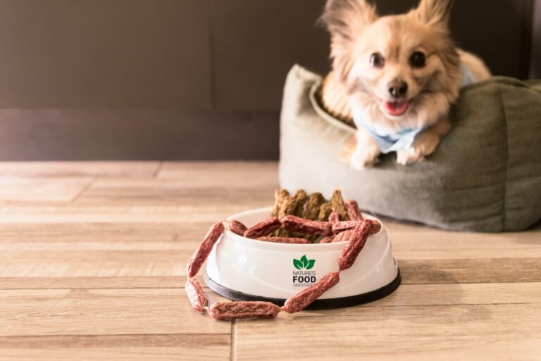 What Is Freeze-Dried Raw Dog Food?