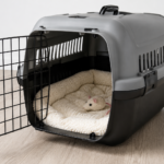 What to Put in a Cat Carrier to Keep Your Cat Calm
