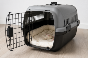 What to Put in a Cat Carrier to Keep Your Cat Calm